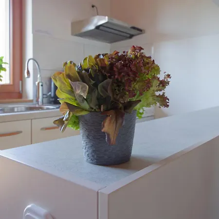 Am See-neu Mit Balkon アパート Neusalza-Spremberg