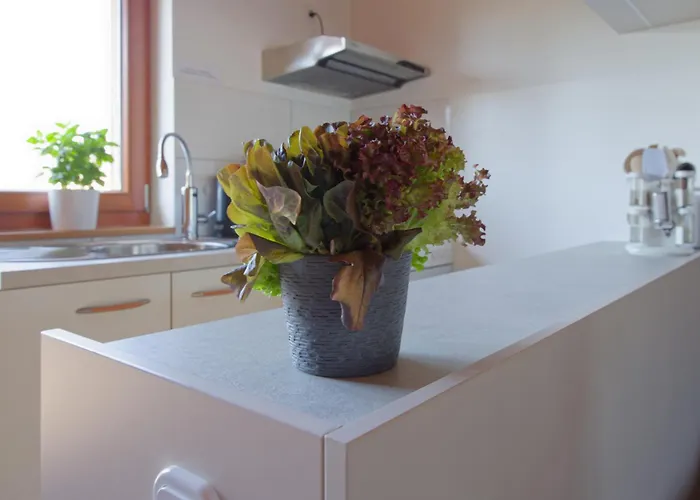 Am See-neu Mit Balkon Lägenhet Neusalza-Spremberg