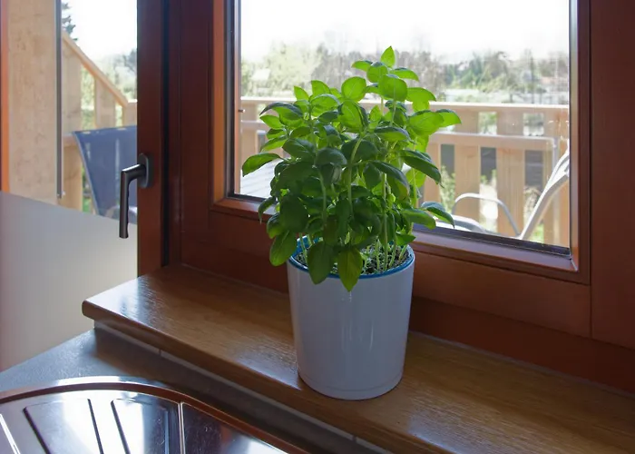 Am See-neu Mit Balkon Lägenhet *